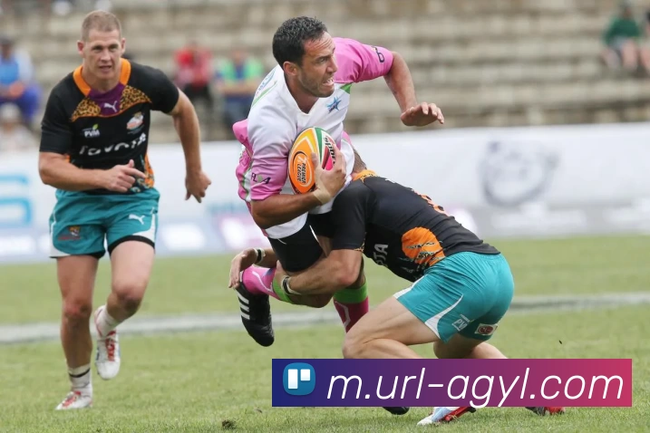 AG娱乐平台生态图